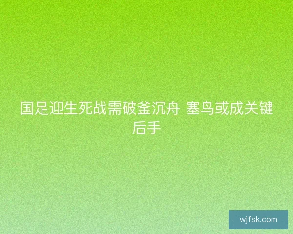 国足迎生死战需破釜沉舟 塞鸟或成关键后手