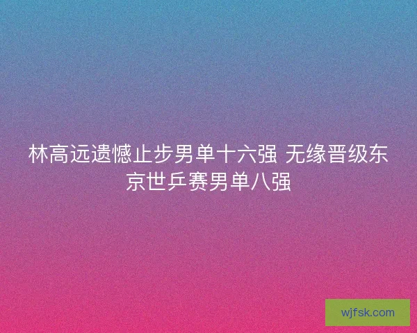 林高远遗憾止步男单十六强 无缘晋级东京世乒赛男单八强